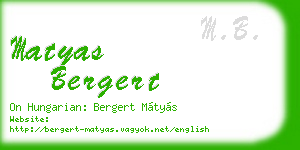 matyas bergert business card